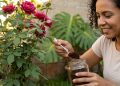 Guarde sempre a borra de café: aqui estão as plantas que adoram
