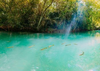 A National Geographic colocou esta cidade do Centro-Oeste como destino nº 1 do mundo entre 10 lugares imperdíveis