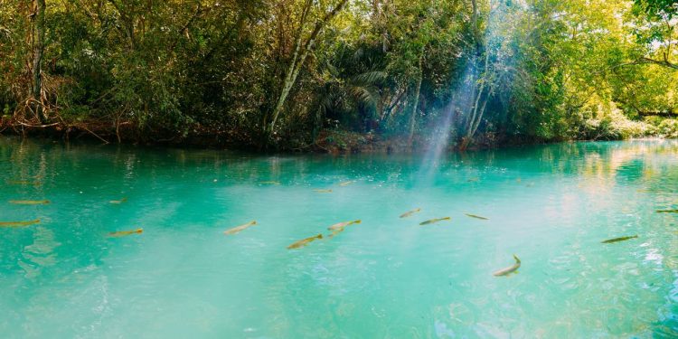 A National Geographic colocou esta cidade do Centro-Oeste como destino nº 1 do mundo entre 10 lugares imperdíveis
