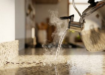 As formigas estão a caminho novamente: a borra de café não funciona, mas a água é eficaz