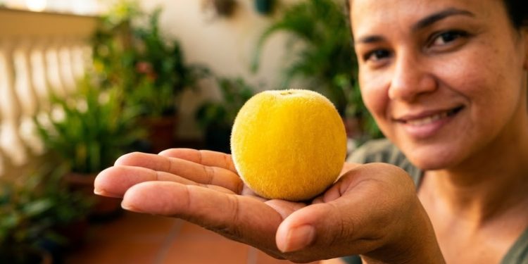 A cabeludinha é uma espécie nativa brasileira que se adapta a espaços reduzidos e entrega safras generosas de sabor inesquecível