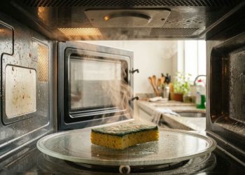 Colocar uma esponja úmida no micro-ondas pode mudar a forma de limpar o aparelho