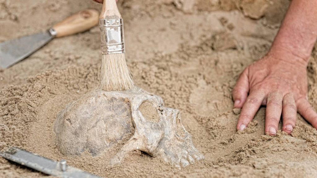 origem dos hominíneos
