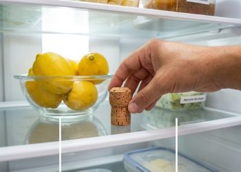 Colocar uma rolha de vinho na geladeira: o truque simples, mas eficaz, para se livrar de um problema doméstico