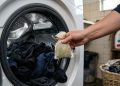 Folhas de louro na máquina de lavar roupa: o segredo que cada vez mais pessoas estão usando