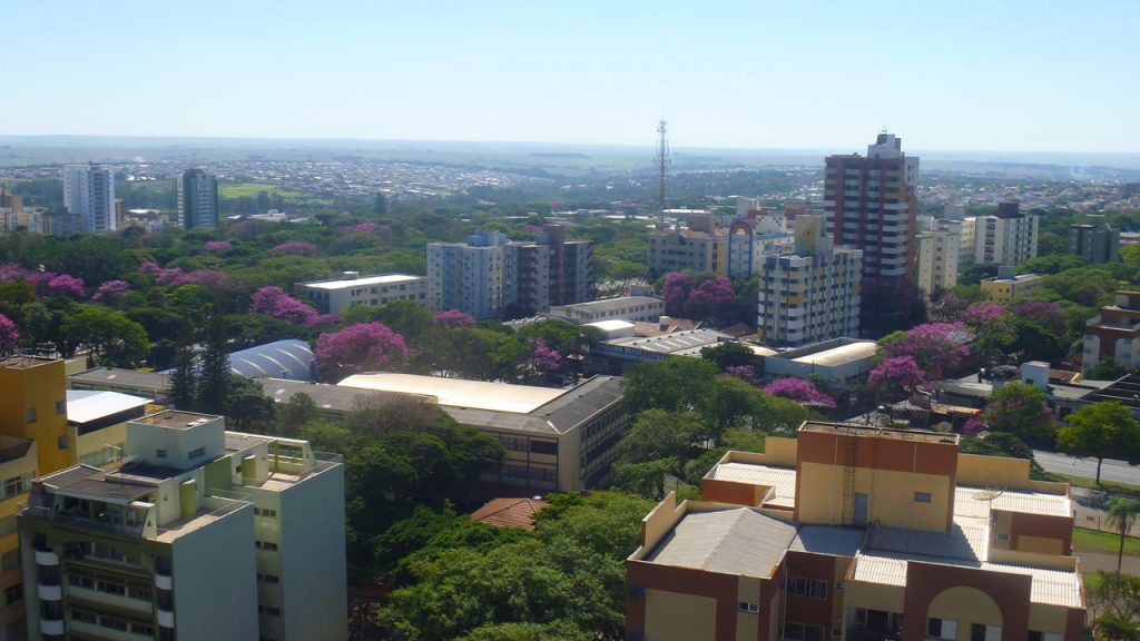 98,6% das ruas arborizadas e 1º lugar em qualidade de vida no Brasil: a cidade paranaense que a ONU reconheceu como floresta urbana