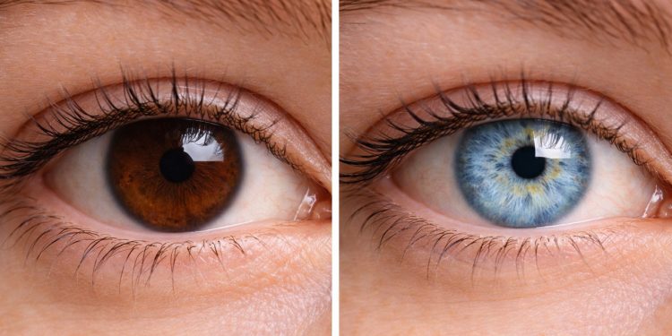 A psicologia explica o que a cor dos seus olhos revela sobre a sua saúde