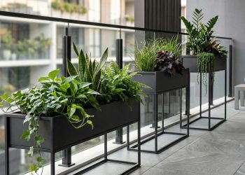 Em vez de vasos de flores: uma nova tendência está se espalhando, e muitos estão optando por essa solução