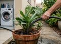 Regar as plantas do jardim com água da máquina de lavar roupa: para que serve e funciona mesmo