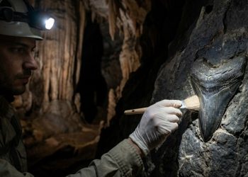 Dois monstros marinhos pré-históricos foram encontrados na maior caverna do mundo, após 325 milhões de anos