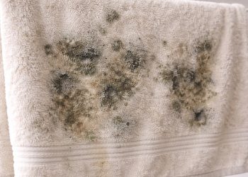 Cheiro de mofo nas toalhas de banho nunca mais: saiba como eliminar de vez usando apenas 2 ingredientes