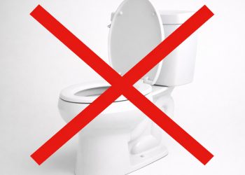 Adeus ao vaso sanitário tradicional: essa é a alternativa canadense sem água nem eletricidade que pode virar tendência