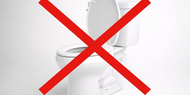 Adeus ao vaso sanitário tradicional: essa é a alternativa canadense sem água nem eletricidade que pode virar tendência