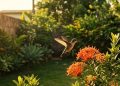 A ave que bate as asas 80 vezes por segundo e carrega séculos de simbolismo: o que significa ver um beija-flor no jardim?