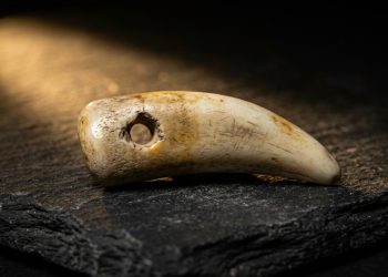 A joia pré-histórica de 15.000 anos guardada errada por 160 anos em um museu inglês que mudou o que sabemos sobre a Idade do Gelo