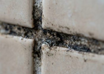 Como eliminar mofo preto no rejunte do banheiro e deixá-lo com aparência de novo