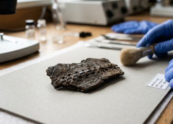 Esse pedaço de couro costurado de 12 mil anos pode ser peça de roupa mais antiga já encontrada