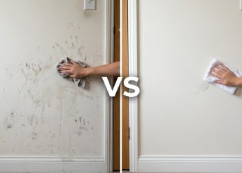 Tinta lavável ou comum: qual compensa usar na pintura da casa sem gastar muito na obra