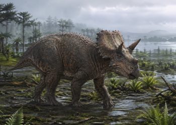 Dinossauro com chifres caminha em vegetação costeira do Cretáceo europeu.