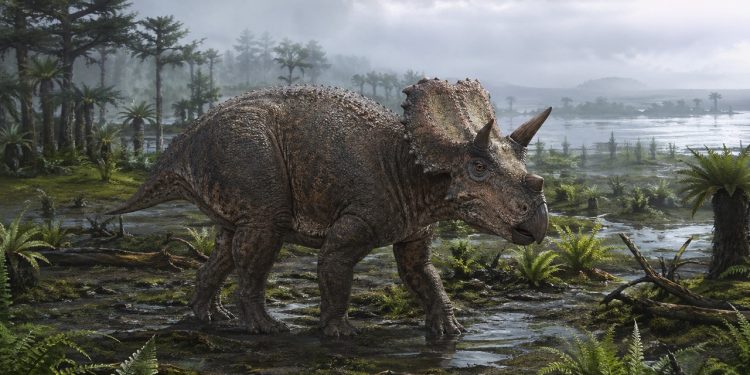 Dinossauro com chifres caminha em vegetação costeira do Cretáceo europeu.