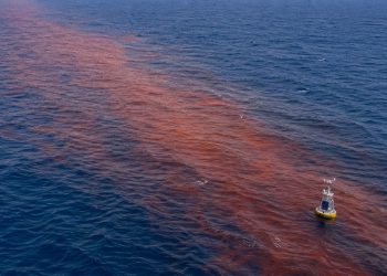 Boia científica monitora uma faixa de água quente na superfície do oceano.