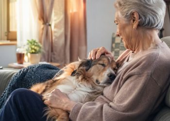 Pessoa idosa acaricia um cachorro no sofá, mostrando companhia e bem-estar na rotina.