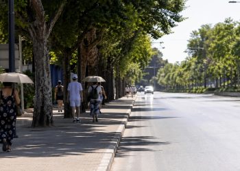 Rua arborizada reduz o calor urbano e melhora a circulação de pedestres.