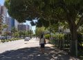 Árvore urbana projeta sombra sobre pedestre em um dia quente e reduz o desconforto térmico.