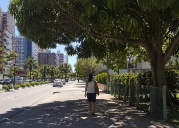Árvore urbana projeta sombra sobre pedestre em um dia quente e reduz o desconforto térmico.