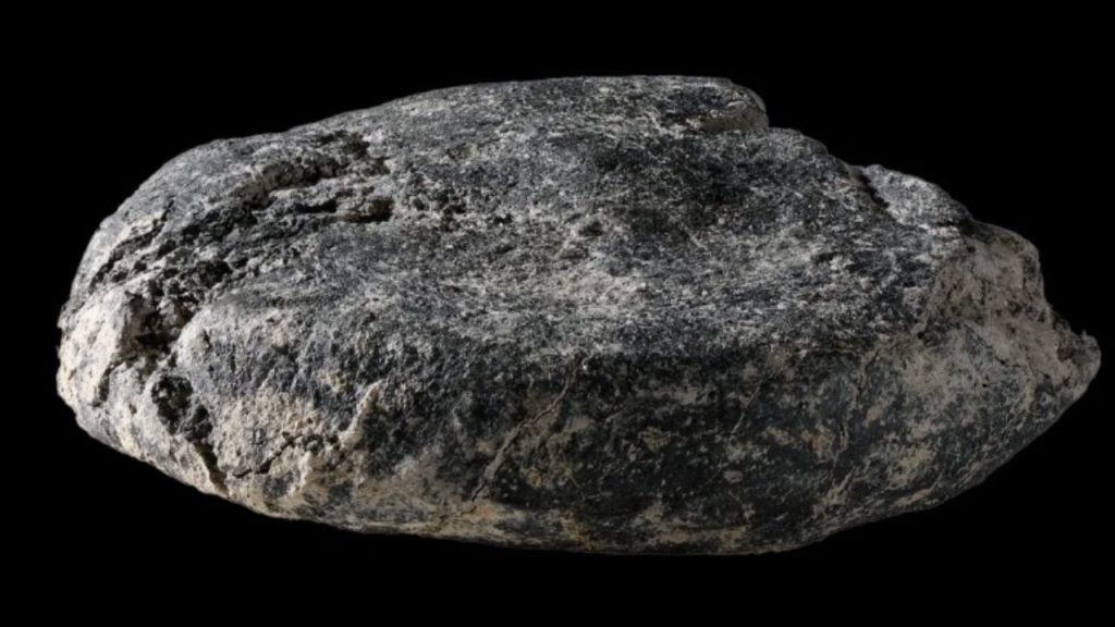 Pão carbonizado de 2.000 anos foi encontrado em um acampamento militar romano