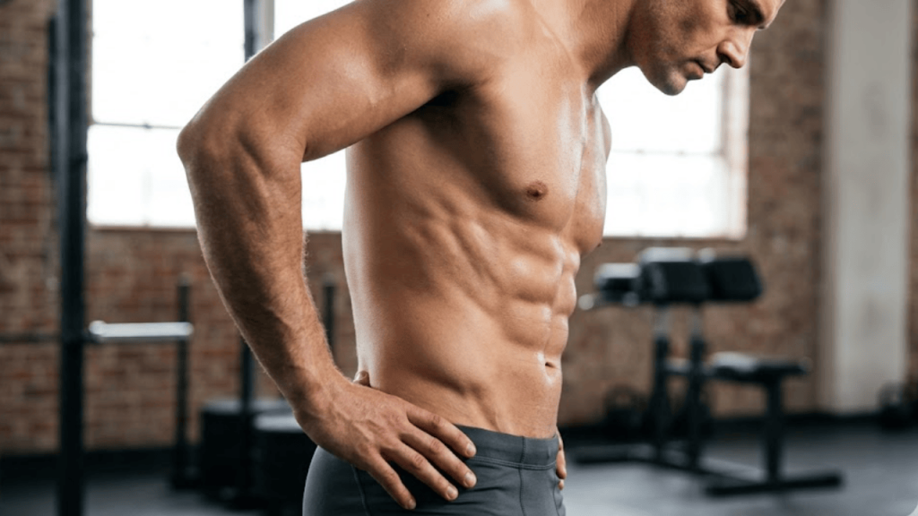 musculatura oblíqua