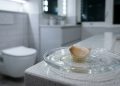 Colocar um dente de alho no vaso sanitário: por que é necessário e e recomendado fazer