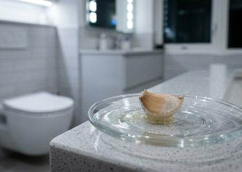 Colocar um dente de alho no vaso sanitário: por que é necessário e e recomendado fazer