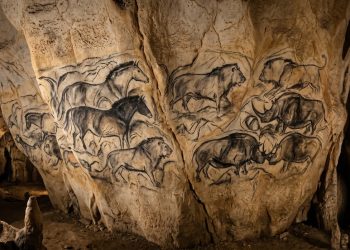 Pinturas de animais em Chauvet mostram movimento, relevo e presença visual ainda impressionantes.