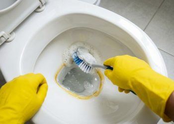 Muita gente sofre com a faixa amarela no vaso sanitário, mas nem todos sabem quão fácil é livrar-se dela