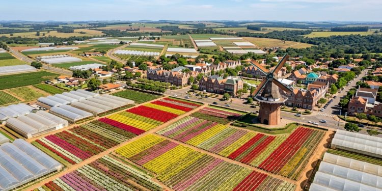 A pequena colônia holandesa a 130 km de São Paulo que impressiona com qualidade de vida europeia, produz 40% das flores do Brasil e sedia a maior exposição floral da América Latina