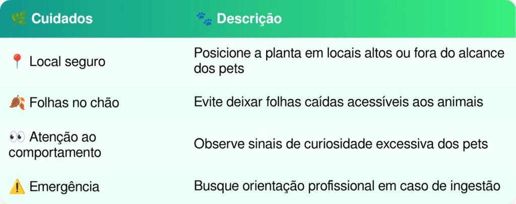 Lírio-da-paz