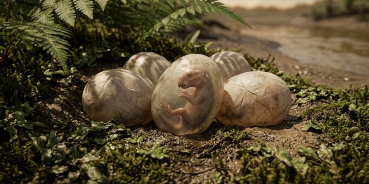 Há mais de 150 anos, paleontólogos se perguntavam se os ancestrais dos mamíferos botavam ovo