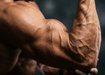 Os 5 melhores exercícios para fortalecer o bíceps e definir os braços em casa sem precisar de halteres