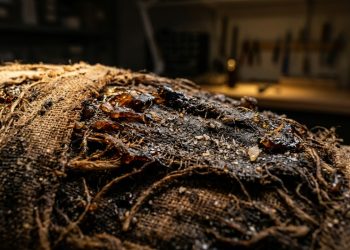 O aroma da eternidade: o cheiro das múmias revela os segredos do Antigo Egito