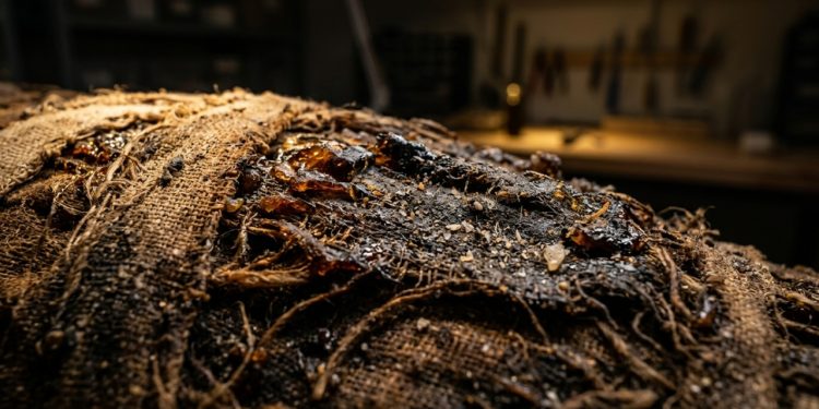 O aroma da eternidade: o cheiro das múmias revela os segredos do Antigo Egito