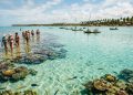 O Caribe brasileiro de Alagoas tem piscinas naturais a 6 km da costa e águas mornas de até 5 metros sobre recifes de corais