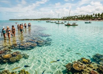O Caribe brasileiro de Alagoas tem piscinas naturais a 6 km da costa e águas mornas de até 5 metros sobre recifes de corais