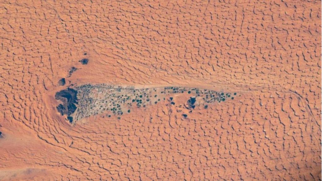 Foto da NASA tirada a 420 km de altitude revela um "milagre verde" no meio do deserto