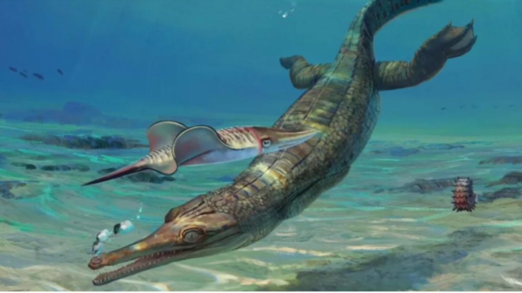Durante passeio turista encontra fragmento de mandíbula de crocodilo marinho ancestral com 200 milhões de anos