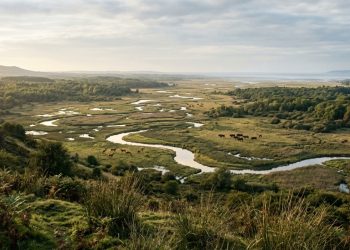 Antes podíamos ir para a Inglaterra: agora o DNA revela novas informações sobre o país pré-histórico perdido