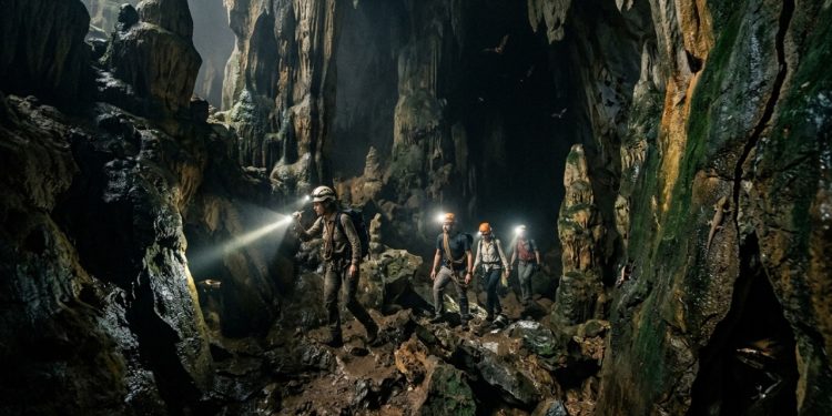 Víbora-de-fosseta, cobra-voadora e lagartixas entre as novas espécies descobertas em cavernas