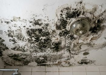 A maneira mais simples e segura de limpar o teto do banheiro com mofo sem subir na escada
