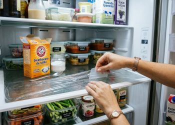Aplique bicarbonato de sódio e plástico filme nas prateleiras da geladeira: por que isso é recomendado e para que serve