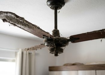 A maneira mais simples e segura de limpar o ventilador de teto sem desmontar as pás